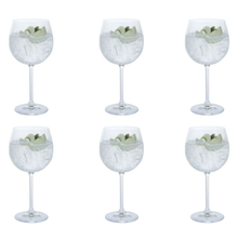 Load image into Gallery viewer, Dartington Crystal Gin Copa 6 pack
